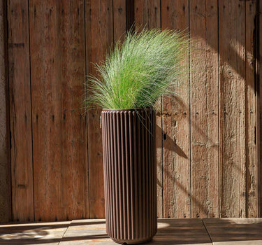 Ronde plantenbak Maranta 30 x 40