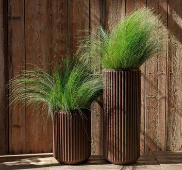 Ronde plantenbak Maranta 30 x 70