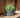 Ronde plantenbak Maranta 30 x 70