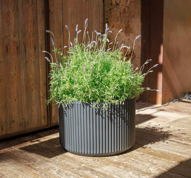 Ronde plantenbak Maranta 30 x 40