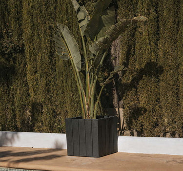 Vierkante plantenbak OLIVO 50