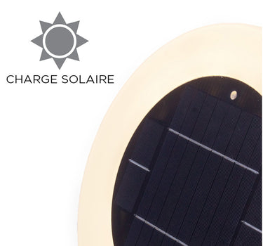 PAPAYA 30 Draadloze Solar Zwembadlamp