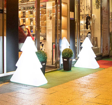 PINUS 100 KERSTBOOM