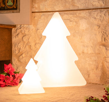 PINUS 160 KERSTBOOM