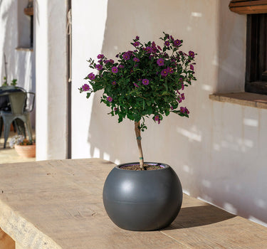 Ronde bloempot DALIA 30