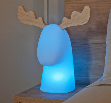 VERLICHTE RENDIER RUDY