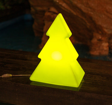 PINUS 40 GROENE KERSTBOOM