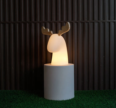 VERLICHTE RENDIER RUDY | BINNENGEBRUIK