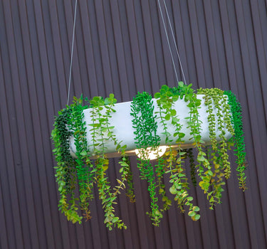 ELBA 59  ronde hangende bloempot met draadloze verlichting 