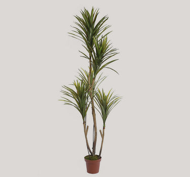 Kunstmatige yucca in pot 185cm