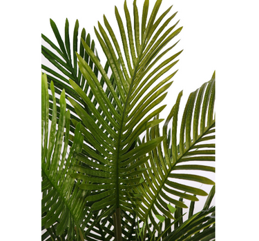 PALMEIRA ARECA 90CM