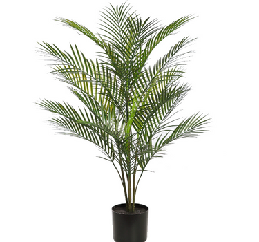 PALMEIRA ARECA 90CM