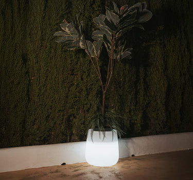Afgeronde bloempot met licht CAMELIA