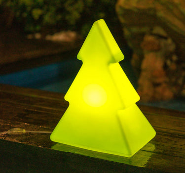 PINUS 40 GROENE KERSTBOOM