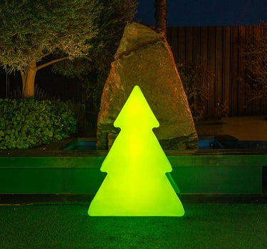 PINUS 160 GROENE KERSTBOOM