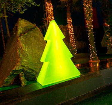 PINUS 160 GROENE KERSTBOOM