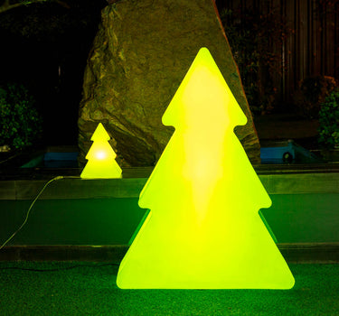 PINUS 160 GROENE KERSTBOOM