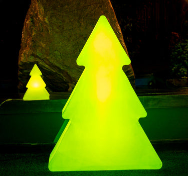 PINUS 160 GROENE KERSTBOOM