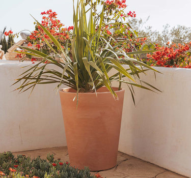 Ronde bloempot met rustieke afwerking GERBERA 50