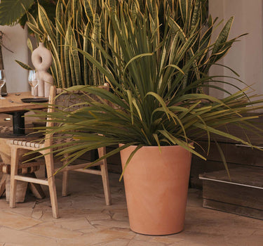 Ronde bloempot met rustieke afwerking GERBERA 50