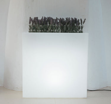 RECHTHOEKIGE JUNCO PLANTENBAK 80 LAMPEN