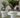 Reuze bloempot MAGNOLIA 120