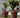 Reuze bloempot MAGNOLIA 120
