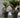 Reuze bloempot MAGNOLIA 120
